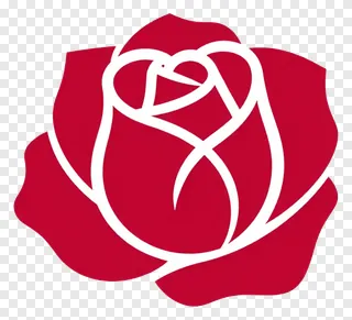 A curled crimson rose petal.