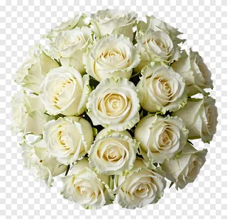 A top-down view of a round bouquet of ivory roses.