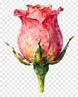 A pink rose bud with green stem.