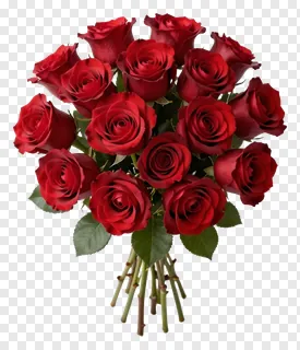 A bouquet of red roses with shiny petals.