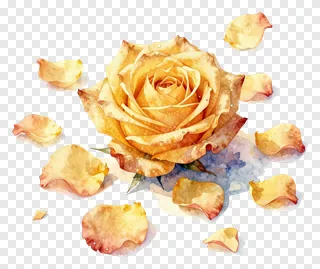 A watercolor painting of a golden rose with scattered petals.