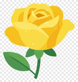 A yellow rose with glossy petals.
