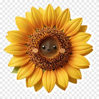 A smiling sunflower with a wood-textured center.