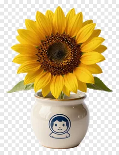 A sunflower in a ceramic pot with a blue face design.