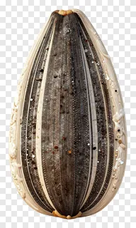 Close-up of a sunflower seed head with visible seeds and ridges.