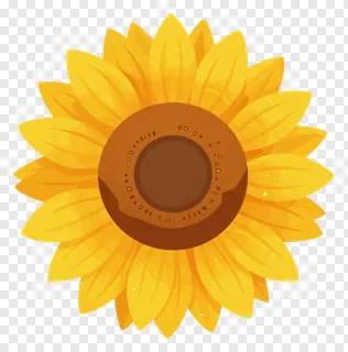 A sunflower with ink wash edges.