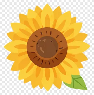 Sunflower with a metallic leaf accent.