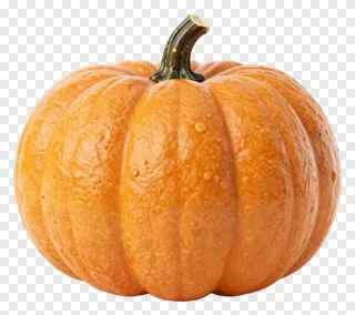 An orange pumpkin with a curved stem.