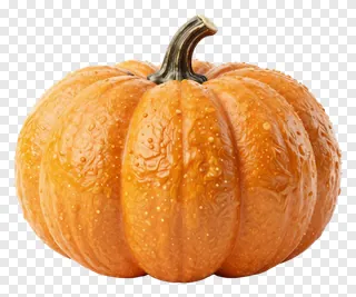 An orange pumpkin with a dark stem and water droplets.