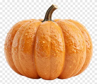 An orange pumpkin with water droplets on its surface.