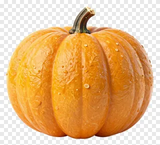 An orange pumpkin with water droplets on its surface.