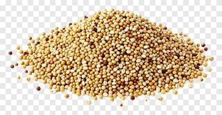 A pile of baked quinoa grains.