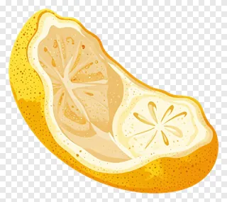 Candied yuzu peel slice with textured rind and segments.
