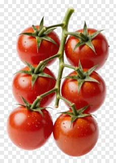 Cluster of red cherry tomatoes on a green vine.