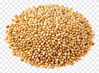 A pile of golden millet grains.