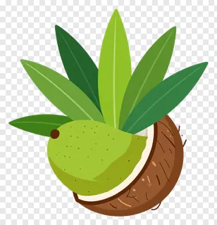 A halved coconut with mango leaves around it.