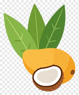 Halved coconut topped with fresh mango leaves.