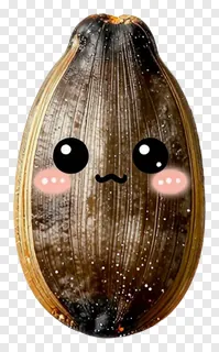 A cute roasted pumpkin seed with a smiling face.