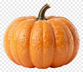 An orange pumpkin with water droplets.