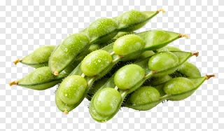 Fresh green edamame pods with water droplets.
