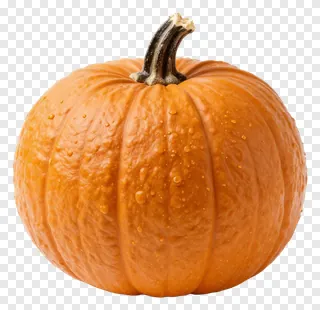 An orange pumpkin with a dark stem and water droplets.