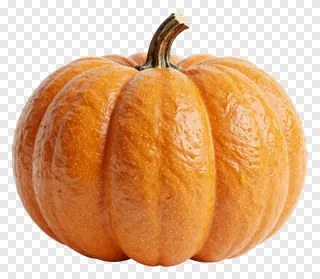 An orange pumpkin with a textured rind and curved stem.