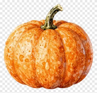 An orange pumpkin with a watercolor texture and water droplets.