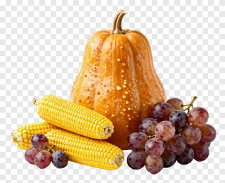 A glossy orange squash, corn, and grapes with dewdrops.