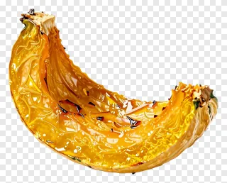 Roasted squash slice with golden, caramelized flesh.