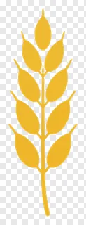 A golden wheat sheaf icon with a minimalist design.