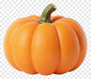 An orange pumpkin with a green stem.