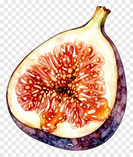 A sliced fig with honey-colored flesh and purple skin.
