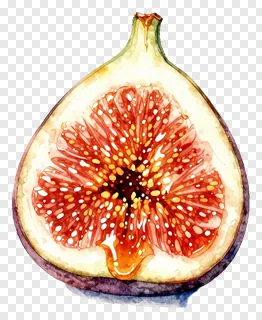 A sliced fig with a honey glaze.