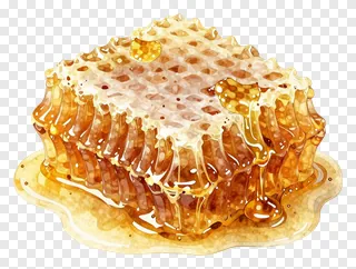A honeycomb with honey dripping from it.