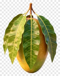 A ripe mango with green leaves attached.