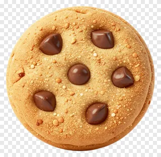 A mini chocolate chip cookie with chocolate chips and sprinkles.