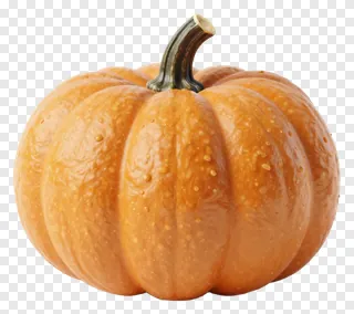 An orange pumpkin with a curved stem.