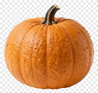 An orange pumpkin with a dark stem.