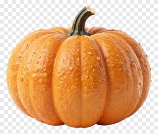 An orange pumpkin with water droplets on its surface.