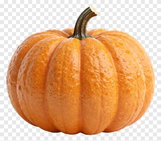 A glossy orange pumpkin with a green stem.