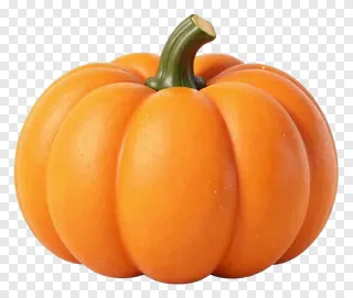 A smooth orange pumpkin with a green stem.