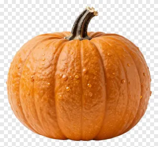 An orange pumpkin with water droplets on its surface.