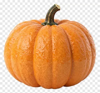 An orange pumpkin with a waxy surface and dark stem.