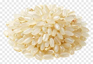 A pile of raw rice grains.