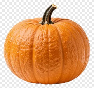 An orange pumpkin with a dark stem.