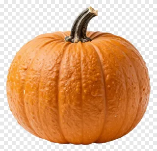 An orange pumpkin with a textured rind and dark stem.