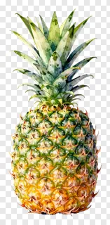 A ripe pineapple with a green leafy crown.