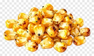 A pile of roasted corn kernels.