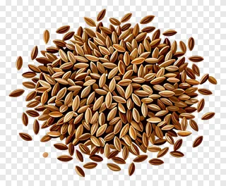 A pile of roasted cumin seeds.