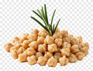 Cooked chickpeas with a rosemary sprig on top.